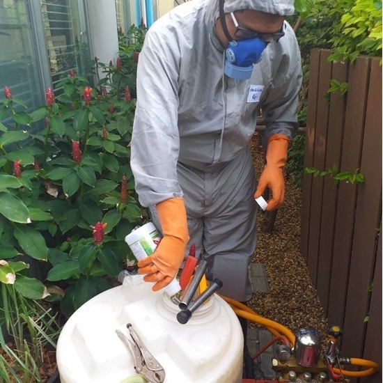 บริษัทกำจัดมดแมลงสาบ สุราษฎร์ บริษัทกำจัดมดแมลงสาบ สุราษฎร์