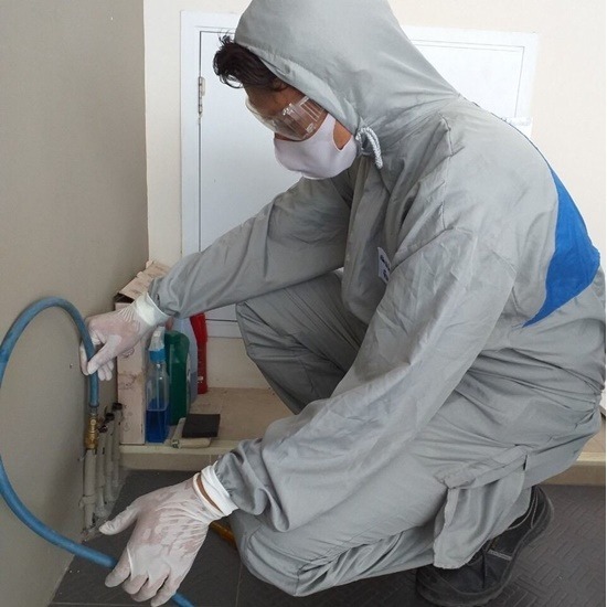 บริษัทกำจัดปลวก สุราษฎร์ - บริษัทกําจัดปลวก สุราษฎร์ - มินิ บั๊ค บริษัทกำจัดปลวก สุราษฎร์ - บริษัทกําจัดปลวก สุราษฎร์ - มินิ บั๊ค