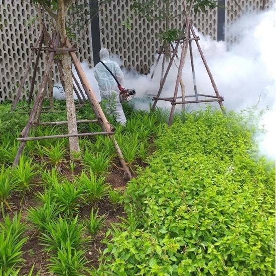 บริษัทกำจัดยุง สุราษฎร์ - บริษัทกําจัดปลวก สุราษฎร์ - มินิ บั๊ค บริษัทกำจัดยุง สุราษฎร์ - บริษัทกําจัดปลวก สุราษฎร์ - มินิ บั๊ค