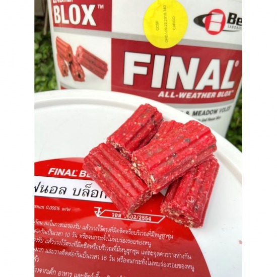 บริษัทกำจัดหนู สุราษฎร์ บริษัทกำจัดหนู สุราษฎร์