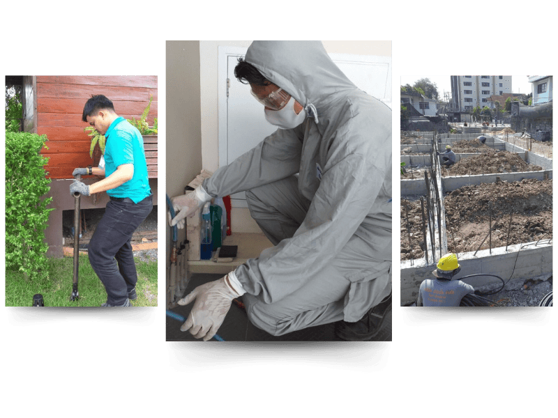 รับกําจัดปลวก สุราษฎร์