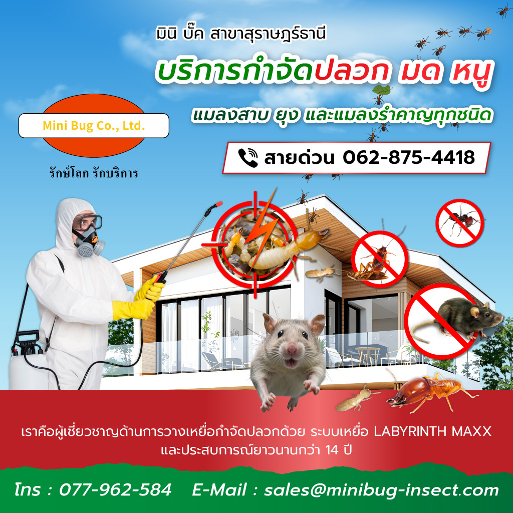 มินิบั๊ค บริการกำจัดปลวกมดหนูแมลงสาบยุง สุราษฎร์